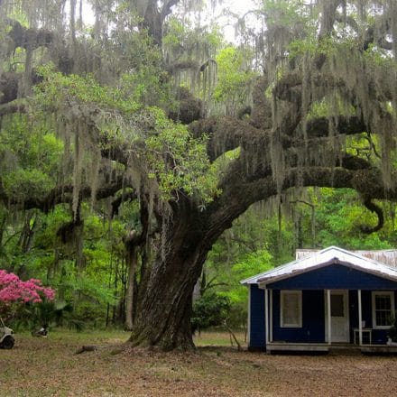 Discovering the rich Gullah Geechee heritage of the South Carolina Lowcountry Gullah Geechee heritage of the South Carolina Lowcountry