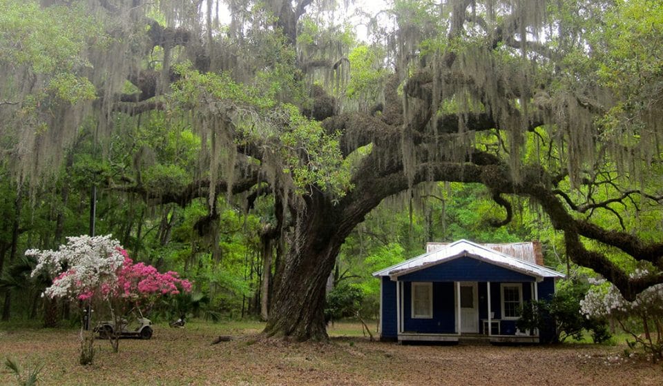 Discovering the rich Gullah Geechee heritage of the South Carolina Lowcountry Gullah Geechee heritage of the South Carolina Lowcountry