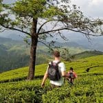 Trekking through the lush tea plantations of the Munnar hills in India
