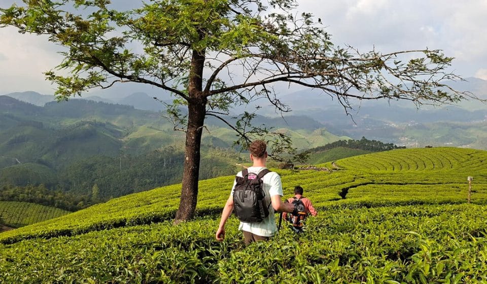 Trekking through the lush tea plantations of the Munnar hills in India Trekking through the lush tea plantations of the Munnar hills in India