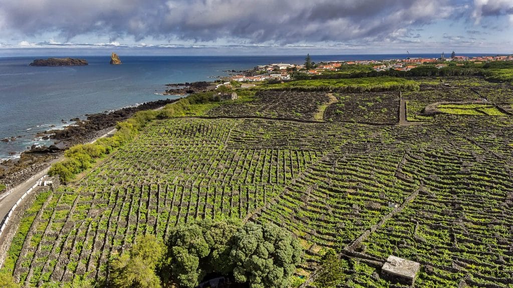 Landscape of the Pico Island Vineyard Culture